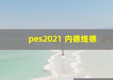 pes2021 内德维德